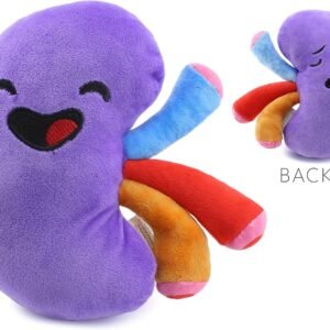 Attatoy Plush Kidney, Stuffed Body Organ Toy for Get Well Gift, Health