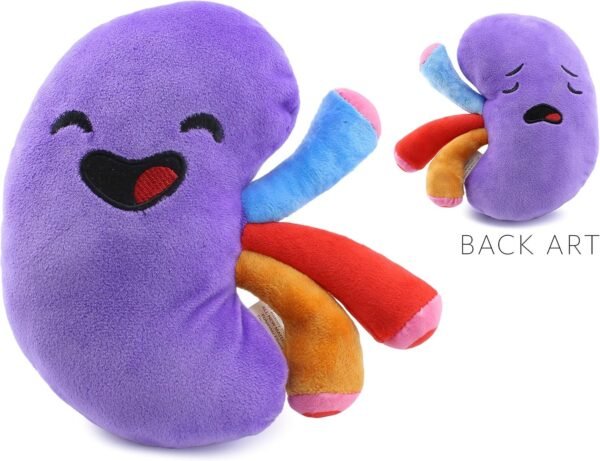 Attatoy Plush Kidney, Stuffed Body Organ Toy for Get Well Gift, Health