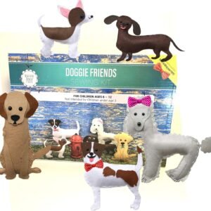 Madam Posy Design Kids Sewing Kits Learn to Sew Your Own Stuffed
