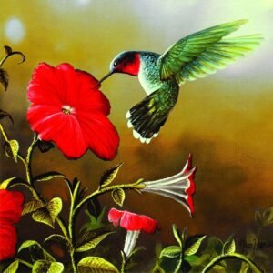 Ruby Throat 500 Piece Jigsaw Puzzle by SunsOut Kit Toy