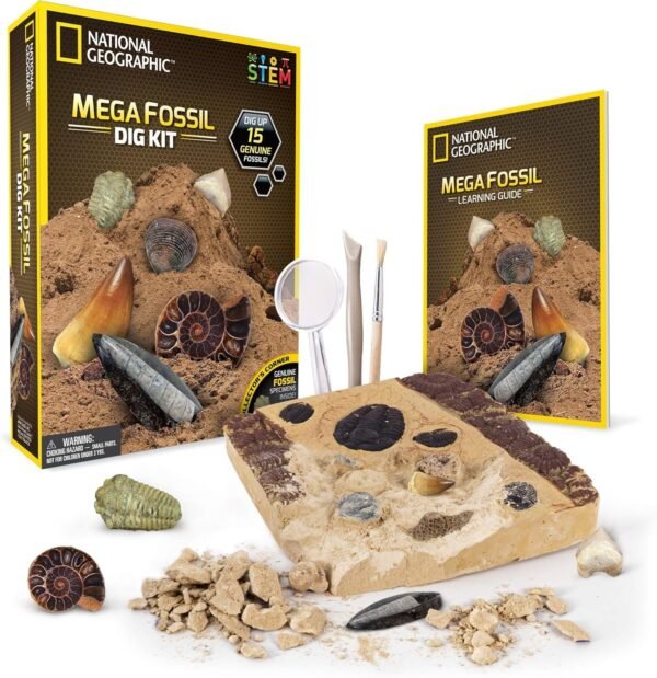 NATIONAL GEOGRAPHIC Mega Fossil Dig Kit Excavate 15 real fossils including Dinosaur